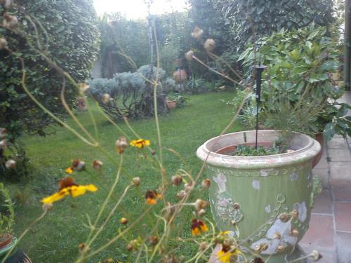 Bed & Breakfast La Carioca