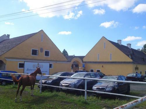 Dv?r Ol?iny -hotel And Horse-riding
