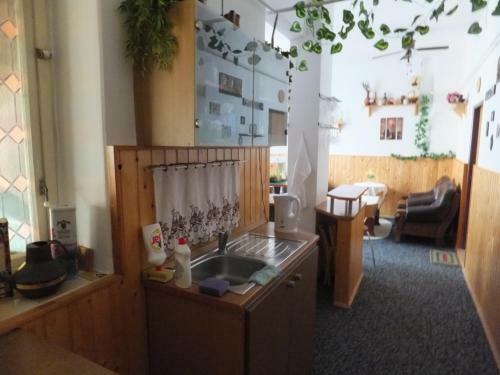 Hostal Penzion U Kovare