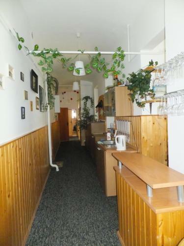 Hostal Penzion U Kovare