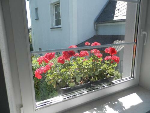 Holiday House Smet�nek