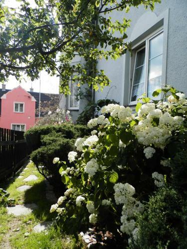 Holiday House Smet�nek
