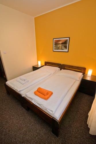 Hotel U Zlat�ho B�ka