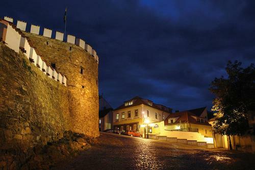 Hotel U Zlat�ho B�ka