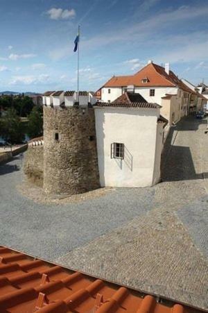 Hotel U Zlat�ho B�ka