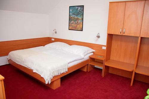 Hostal Penzion Bocheta