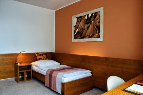 Afrika Hotel Fr�dek-m�stek