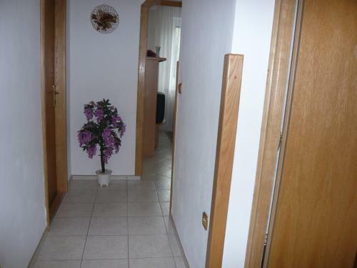 Apartm� Je?kov�