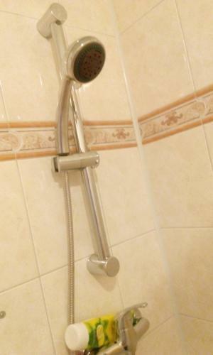 Hostal Penzion Bene?ova Hora