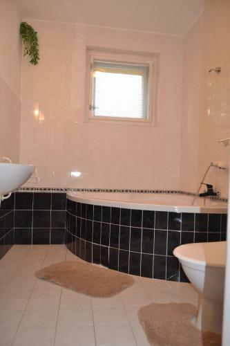 Apartm�n Nov�kovi