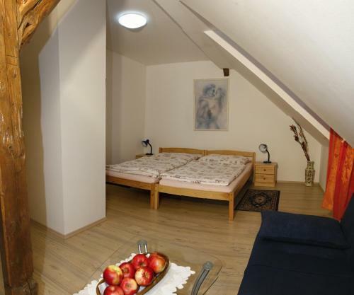 Hostal Penzion U Hani?ky