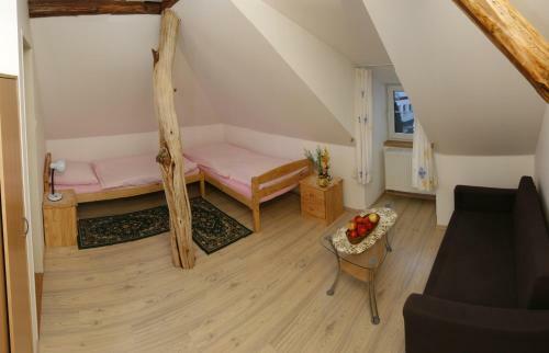 Hostal Penzion U Hani?ky
