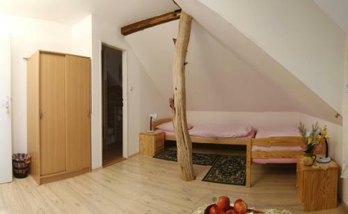 Hostal Penzion U Hani?ky