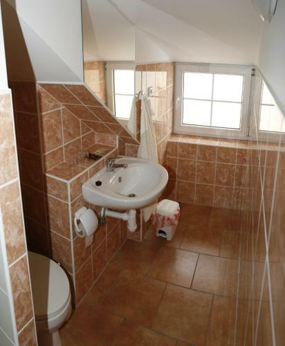 Hostal Penzion U Hani?ky