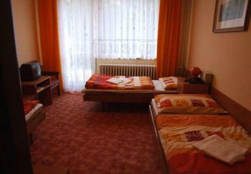 Hotel Petr Bezruc