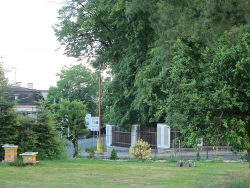 Apartm�n U Borovice