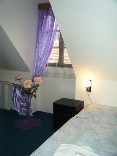 Hotel Park�n