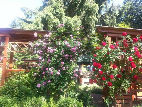 Hostal Penzion Restaurant Pod Boub�nem