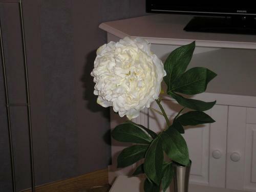 Bed & Breakfast Chambres D'hotes Villa Monsegur