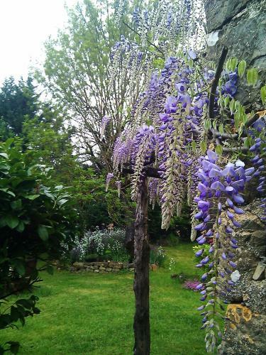 Bed & Breakfast Chambres D'h�tes Les Sonatines