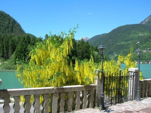 Apartamento Appartamenti Regina Dolomitissime