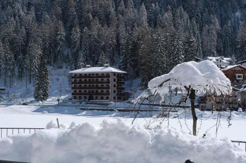 Apartamento Appartamenti Regina Dolomitissime