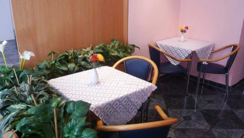 Hotel Arpi