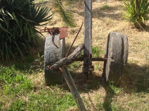 Agroturismo L'anticocasale