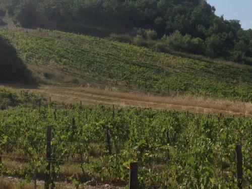 Agroturismo L'anticocasale
