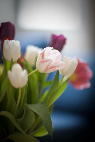 Insj�ns Hotell - Sweden Hotels