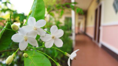 Hotel Baan Maesot Boutique Resort