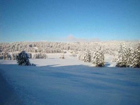 Hotel Restaurant Le Chalet