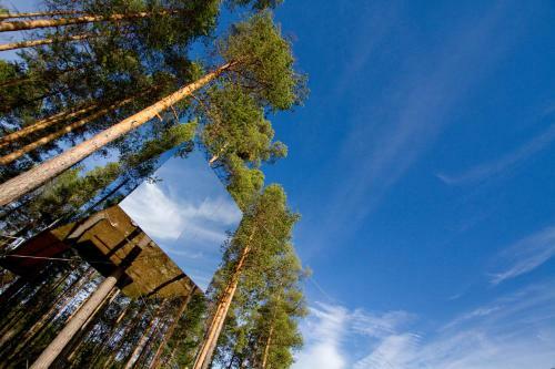 Lodge Treehotel