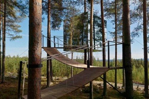 Lodge Treehotel