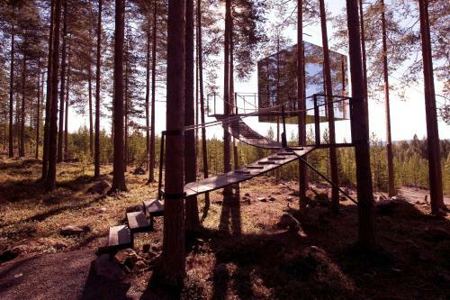 Lodge Treehotel