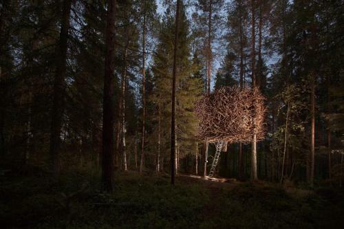 Lodge Treehotel