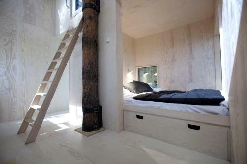 Lodge Treehotel