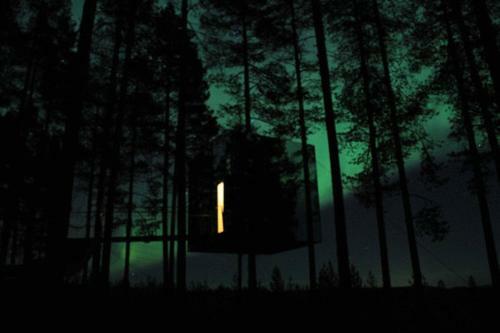 Lodge Treehotel