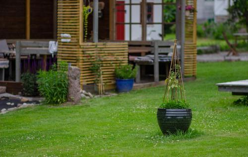 Rosenhill Bed & Breakfast