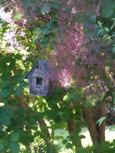 Bed & Breakfast La Musardiere