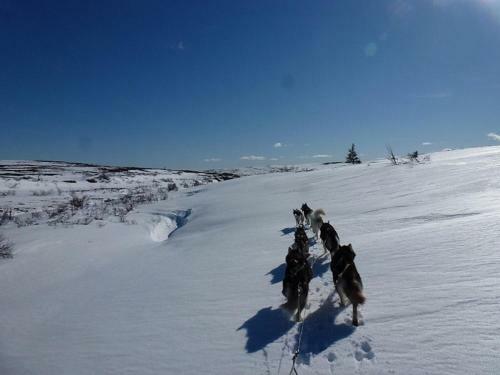 Schweden Aktiv Bed & Breakfast