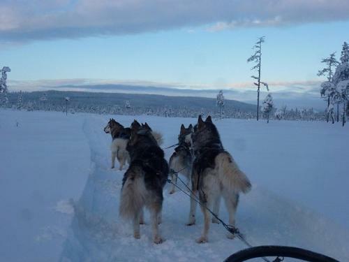 Schweden Aktiv Bed & Breakfast