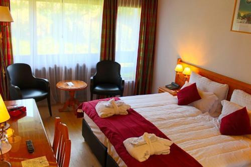 Hotel H�tel Cailler