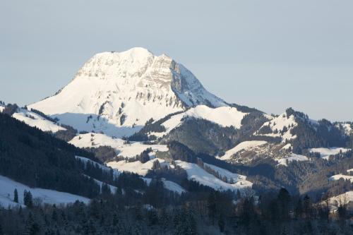 Hotel H�tel Cailler
