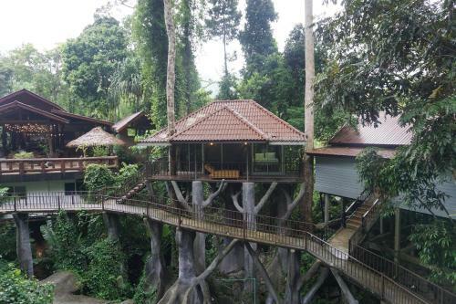 Hotel Rock And Tree House Resort