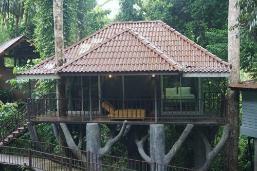 Hotel Rock And Tree House Resort