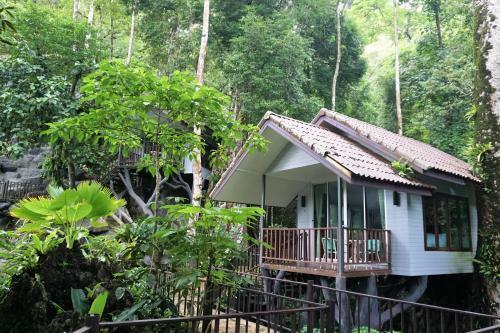 Hotel Rock And Tree House Resort