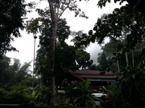Hotel Rock And Tree House Resort