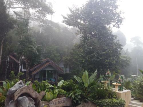 Hotel Rock And Tree House Resort