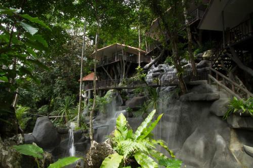 Hotel Rock And Tree House Resort